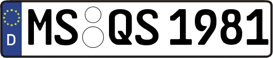 MS-QS1981