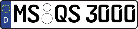 MS-QS3000