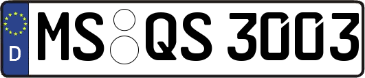 MS-QS3003