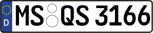 MS-QS3166
