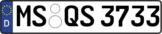 MS-QS3733