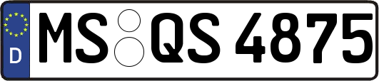MS-QS4875