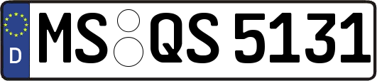 MS-QS5131