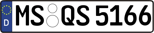 MS-QS5166