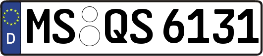 MS-QS6131