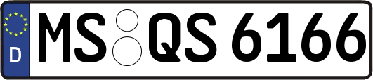 MS-QS6166