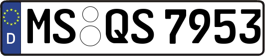MS-QS7953