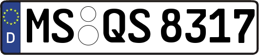 MS-QS8317