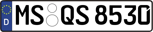 MS-QS8530