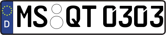 MS-QT0303