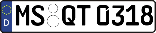 MS-QT0318