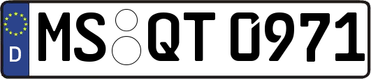 MS-QT0971