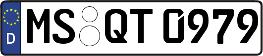MS-QT0979