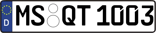 MS-QT1003