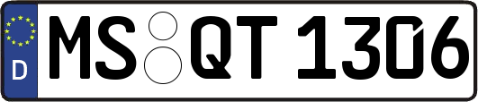 MS-QT1306