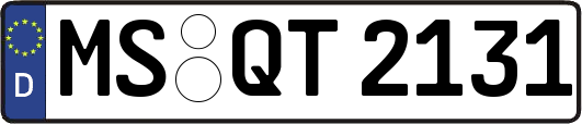MS-QT2131