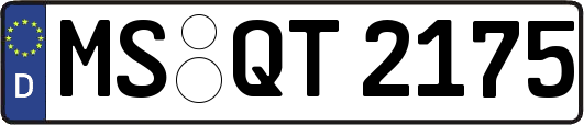 MS-QT2175
