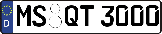 MS-QT3000