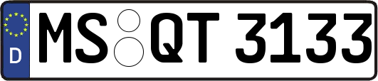 MS-QT3133
