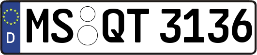 MS-QT3136