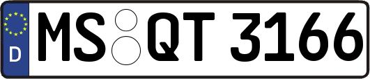 MS-QT3166