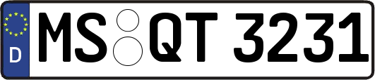 MS-QT3231
