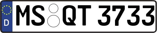 MS-QT3733
