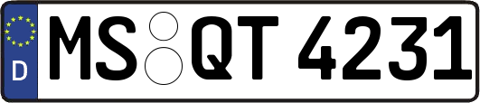 MS-QT4231