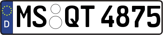 MS-QT4875