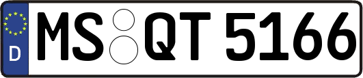 MS-QT5166