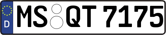 MS-QT7175