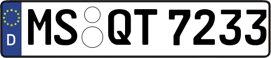 MS-QT7233