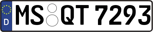 MS-QT7293