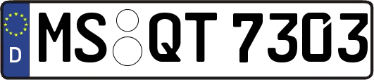 MS-QT7303