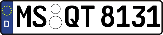 MS-QT8131