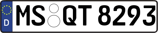 MS-QT8293