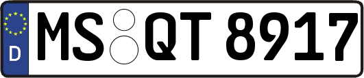 MS-QT8917