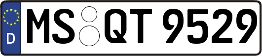 MS-QT9529