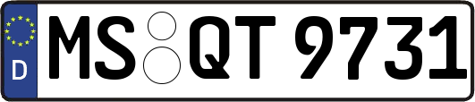 MS-QT9731