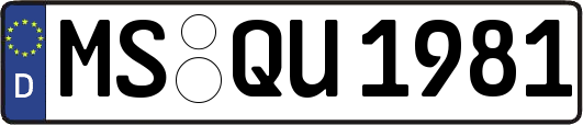 MS-QU1981