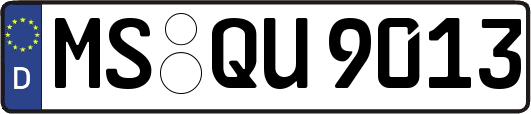 MS-QU9013
