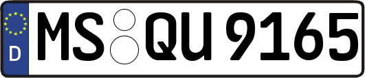 MS-QU9165