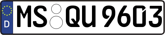 MS-QU9603