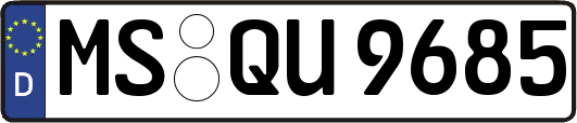MS-QU9685