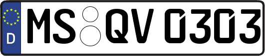 MS-QV0303