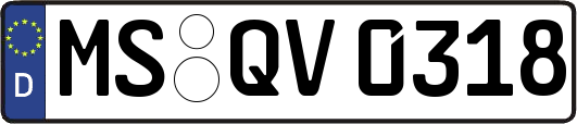 MS-QV0318