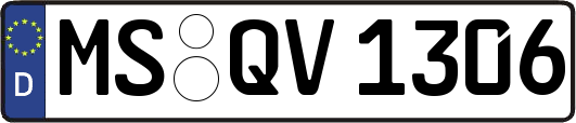 MS-QV1306