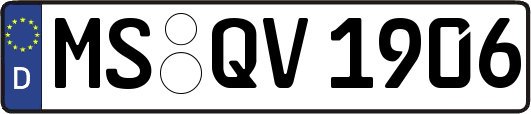 MS-QV1906