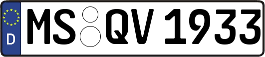 MS-QV1933