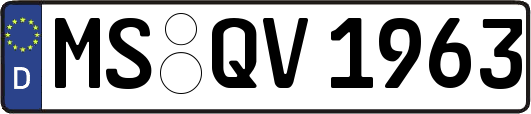 MS-QV1963